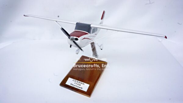 Cessna 172 Skyhawk OE-DTA - Image 7